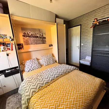 24 H Du Mans , Gp , Le Mans Classic , Motos , Camions *