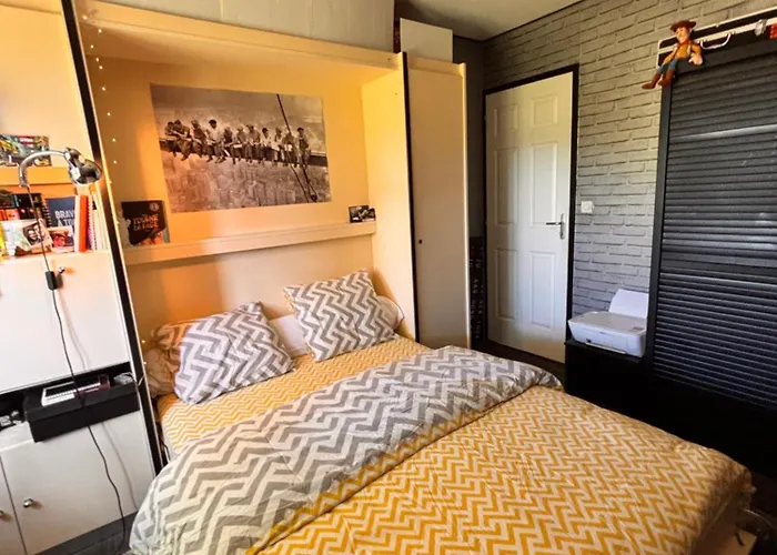 24 H Du Mans , Gp , Le Mans Classic , Motos , Camions *